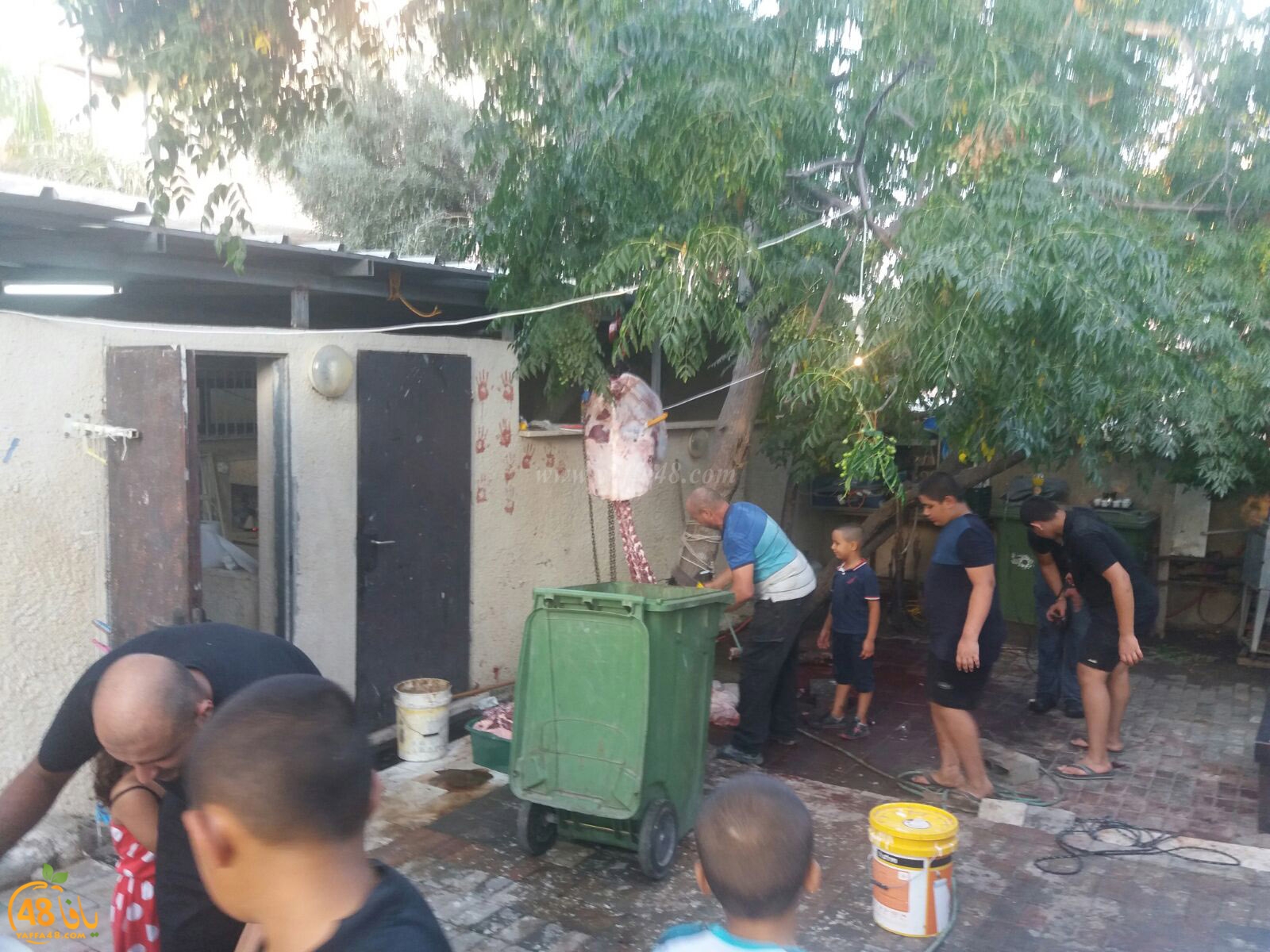 3jel jam3iya yaffa (6).jpg